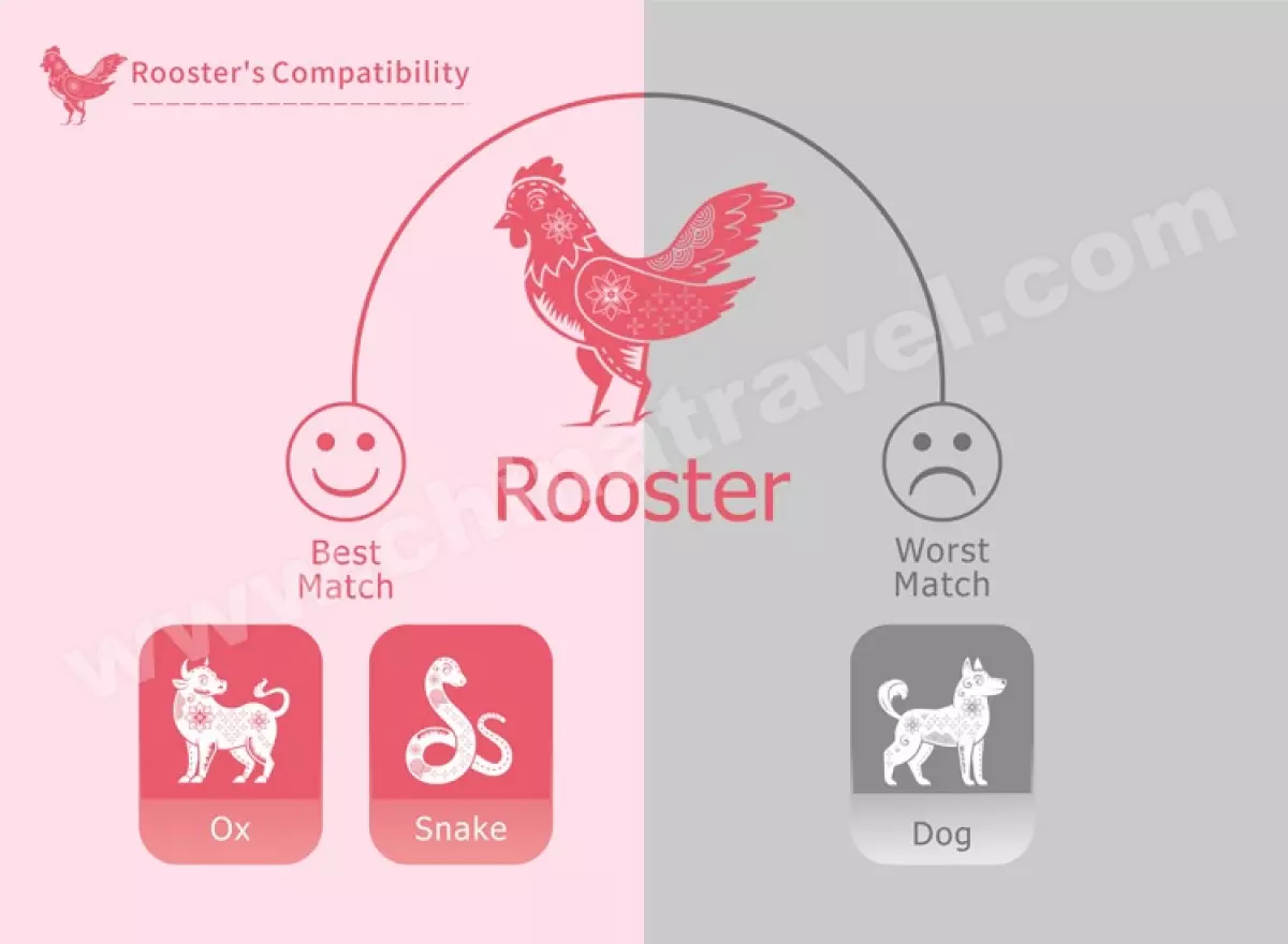 Zodiac Rooster's Lucky Things