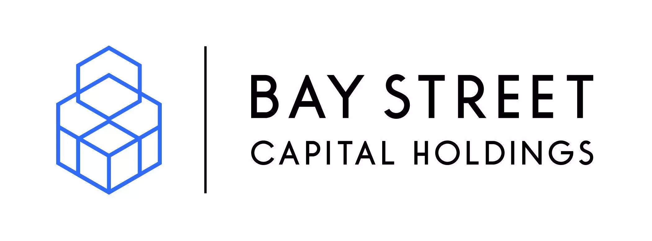Bay Street Capital Holdings - Real Estate and Investment Firm