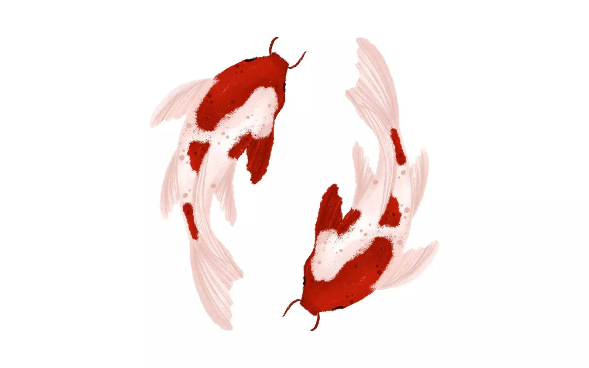 Double Fish Symbol - Feng Shui Symbols to Attract Love