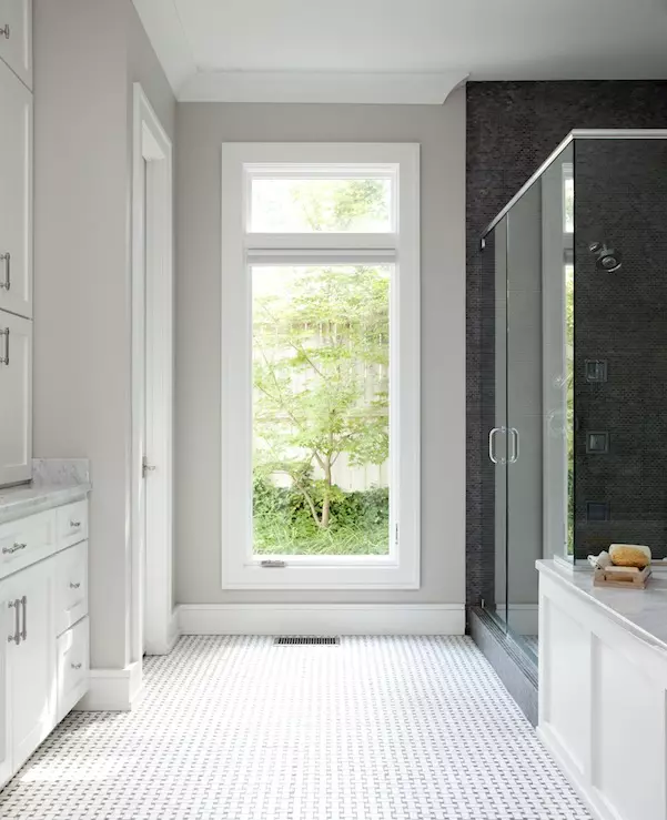 Sherwin Williams Repose Gray in a bathroom with large windows and a glass shower enclosure.