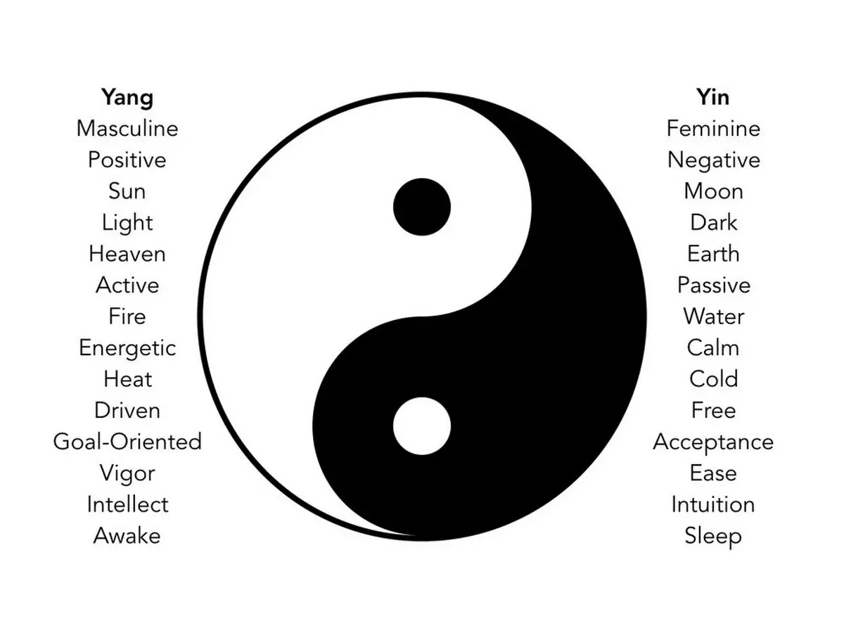 A Diagram showing the Yin and Yang Symbol with its Respective Characteristics