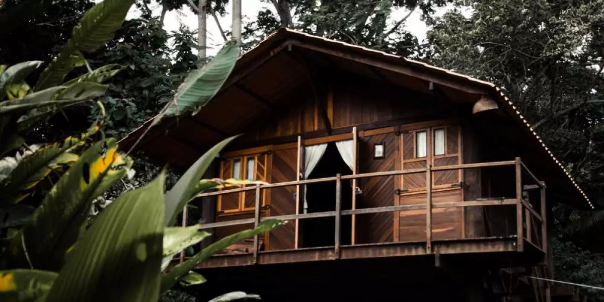 Wooden-House-Isabella-Mendes