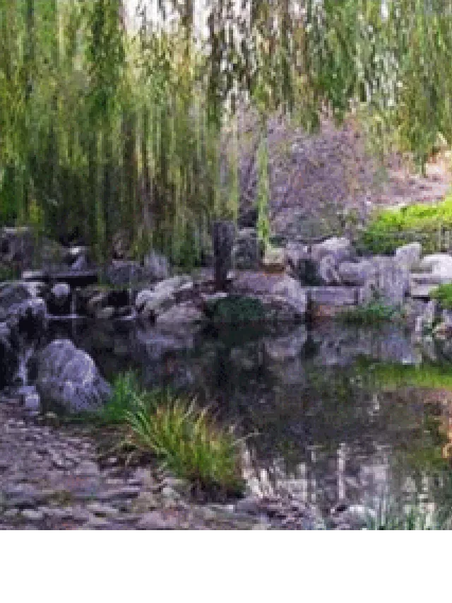   Feng Shui Garden Design: 11 Tips and Ideas for a Harmonious Backyard