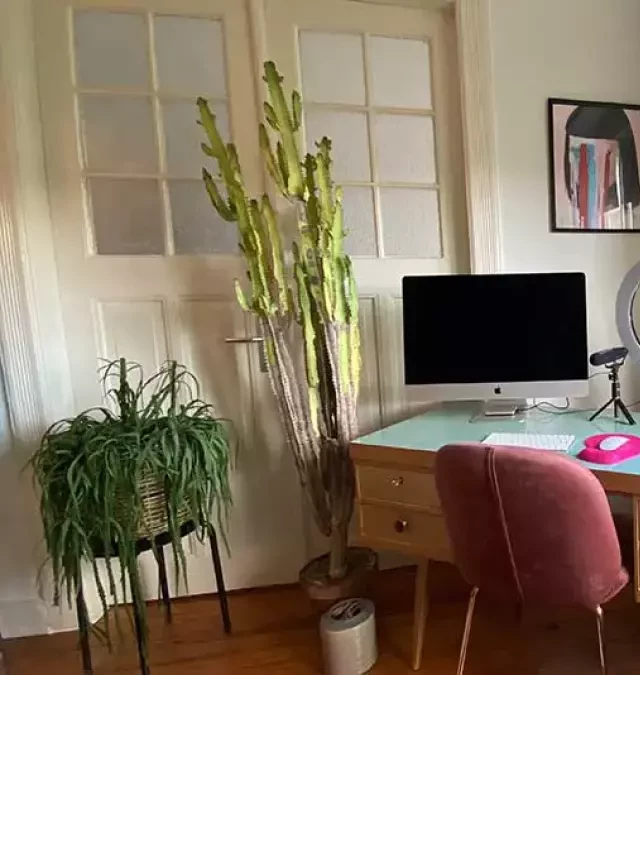   How to Create the Perfect Home Office with Feng Shui