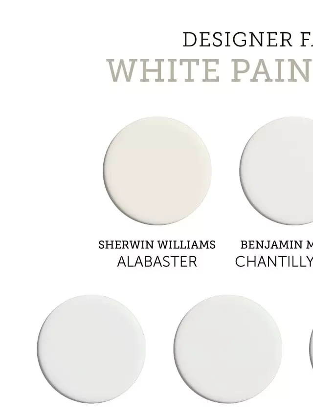   The Ultimate Guide to Choosing the Perfect White Paint Color