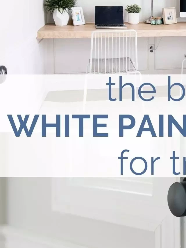   The Best White Paint Colors for Trim: Choose the Perfect Shade for Your Space