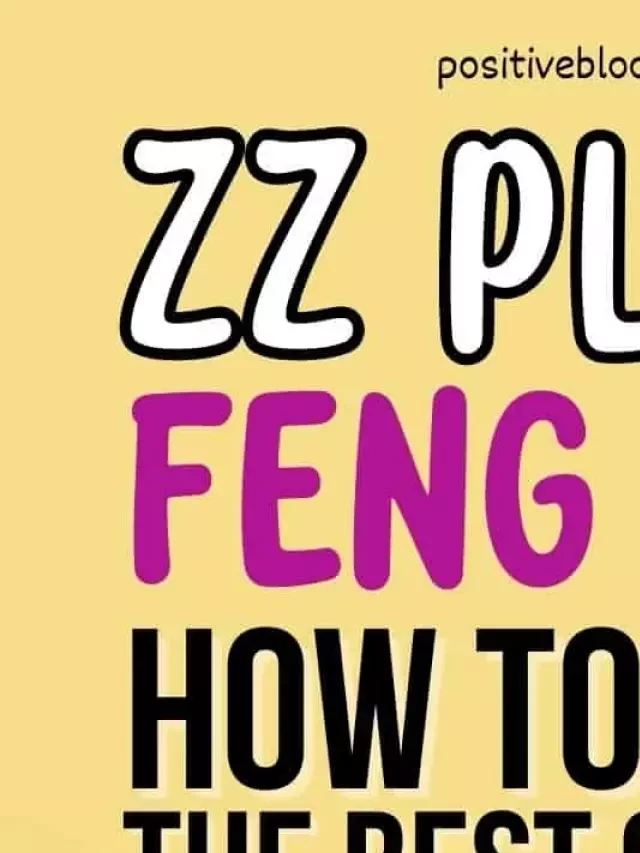   ZZ Plant Feng Shui: Enhancing Positive Energy and Luck in Your Home