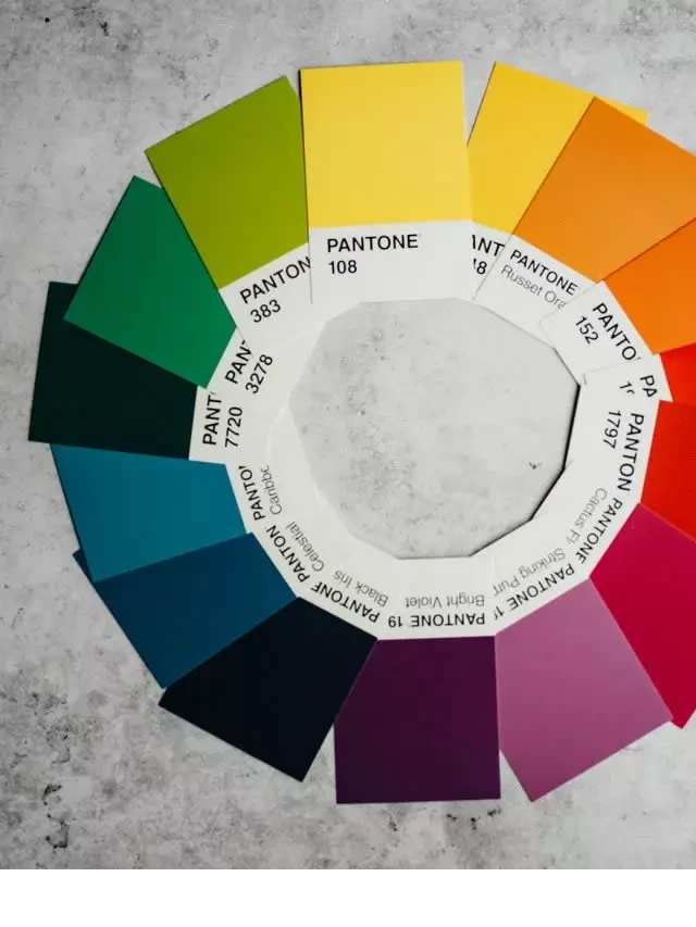   How to Choose the Perfect Color Palette for Your Home