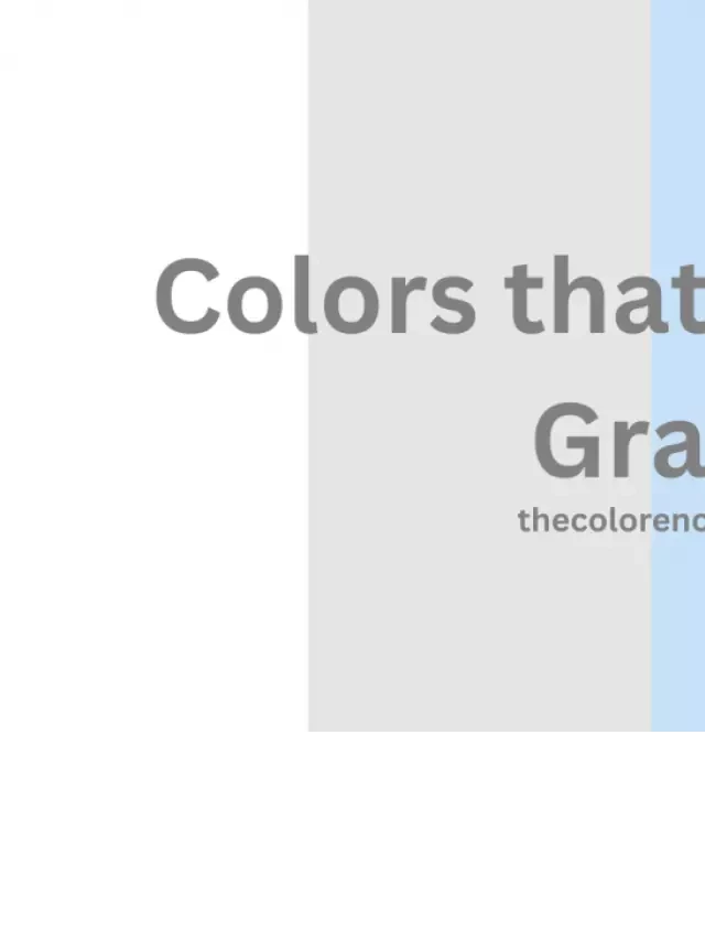   Colors That Go With Gray: Unveiling a World of Possibilities