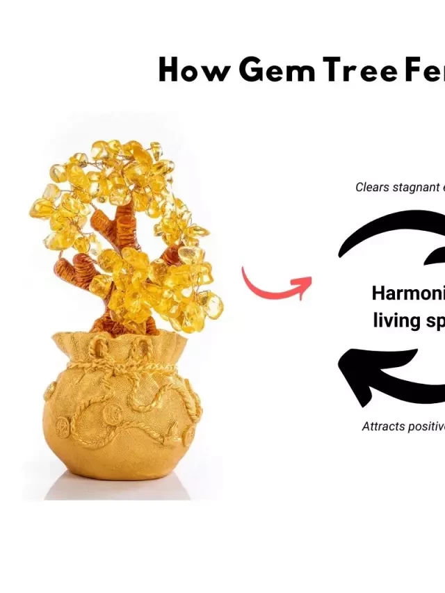   Feng Shui Gem Trees: Enhancing Your Life with Harmony and Balance