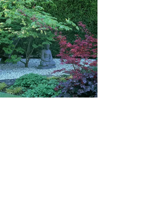   Good Feng Shui for Home, Garden Design, and Front Yard Landscaping Ideas