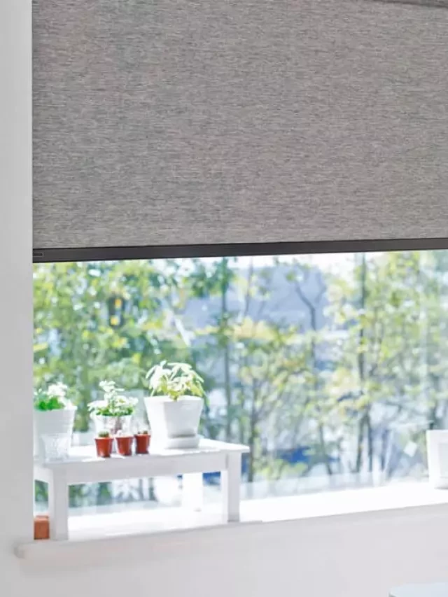   Roller Shades vs. Roman Shades: Tìm hiểu và chọn một loại rèm cửa phù hợp với bạn