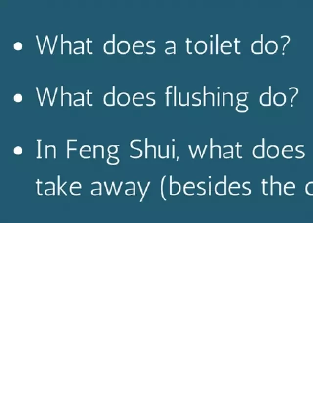   The Feng Shui of Toilet Seats: Enhancing Energy Flow in Your Home