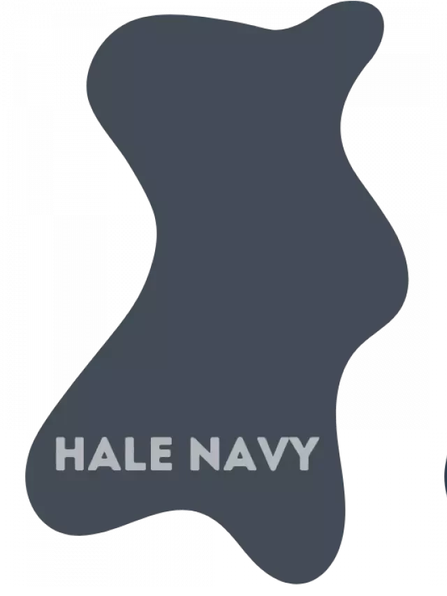   Benjamin Moore Hale Navy Vs Sherwin-Williams Naval: Which Shade of Blue is Right for You?