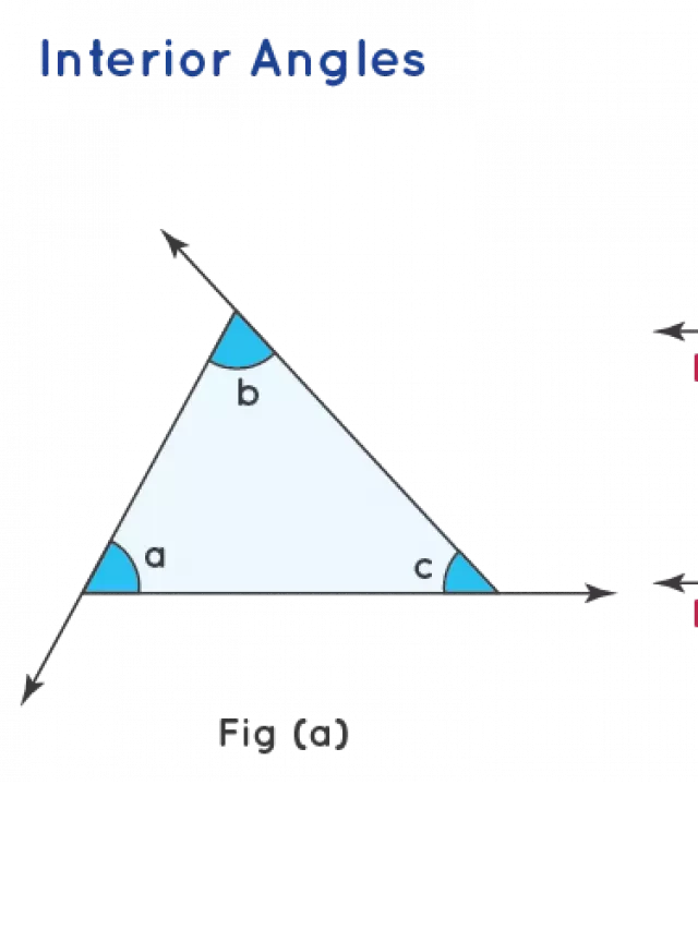   Interior Angles: Understanding Shapes and Measurements