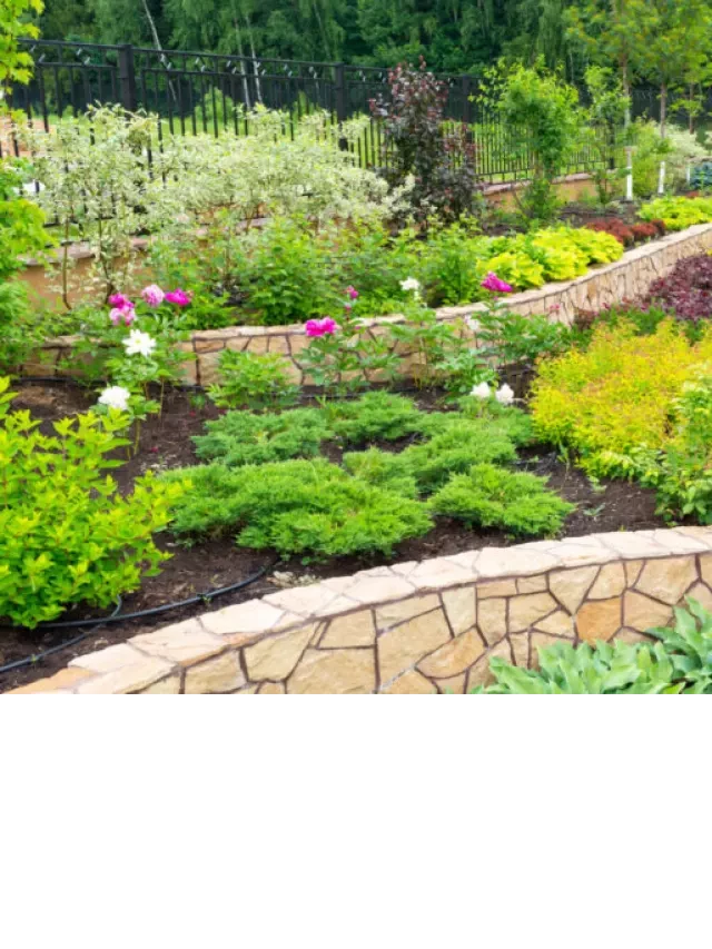   Landscape Design for Beginners: Creating a Stunning Outdoor Space