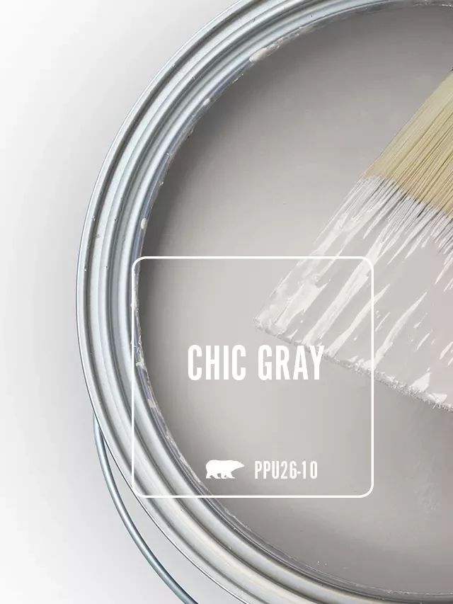   True Colors: Discovering the Perfect Gray for Your Space