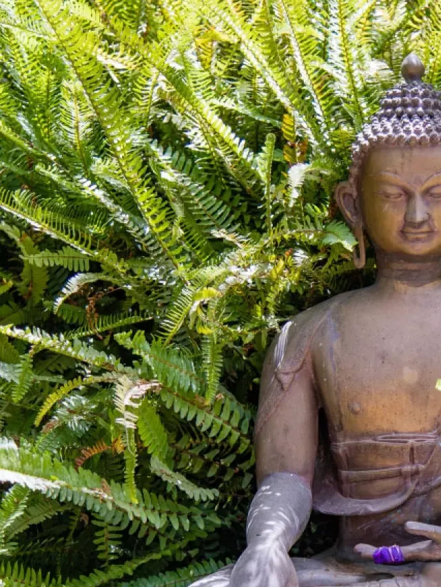   10 Feng Shui Symbols That Bring Good Luck, Abundance, and Protection