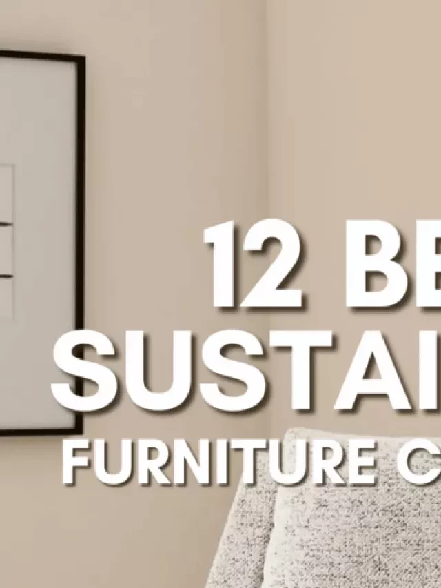   12 of the Best Sustainable Furniture Companies - Transforming Homes and the Environment