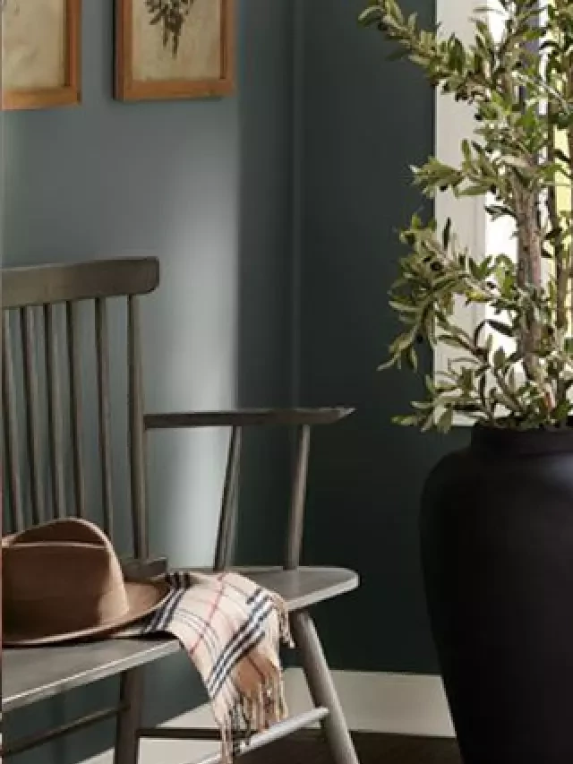   23 Best Sherwin-Williams Gray Paint Colors (Trend 2023)