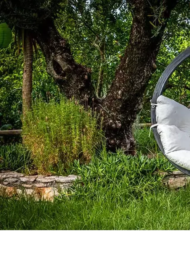   25 Fun Cocoon Swing Chairs: Find Your Perfect Outdoor Oasis