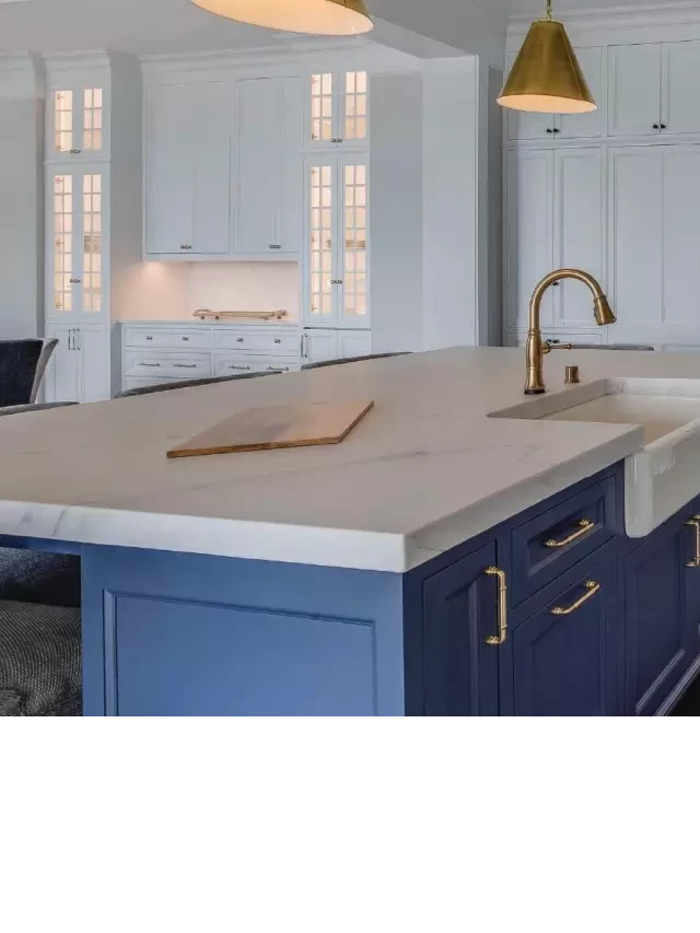   25+ Navy Blue Kitchen Ideas: Adding Boldness to Your Design