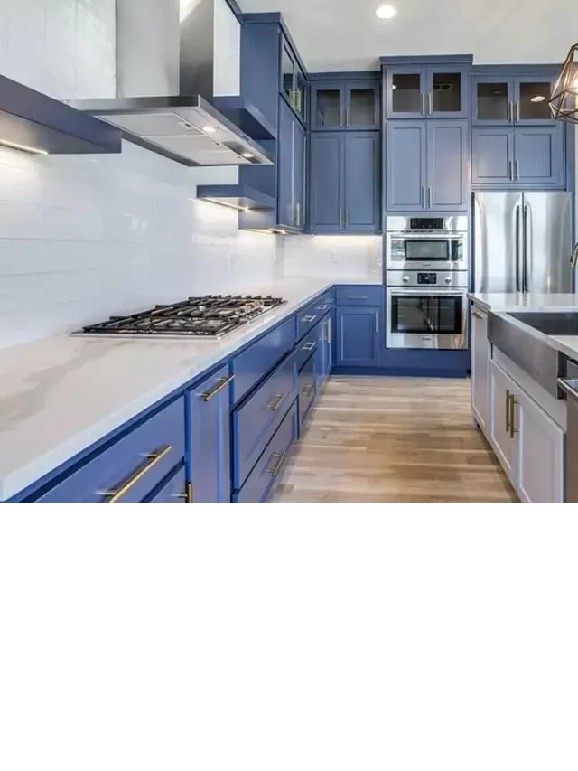   33 Blue and White Kitchens: Design Ideas