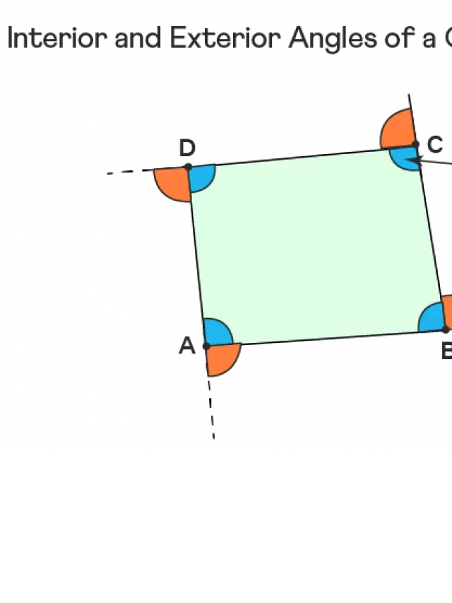   The Magic of Quadrilateral Angles