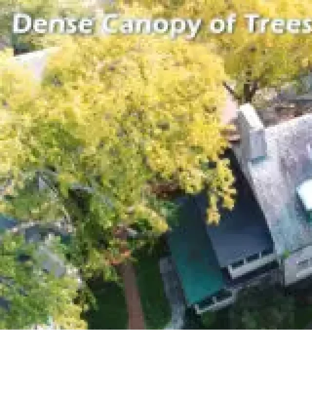   Are Realtors Hiring Drone Photographers?