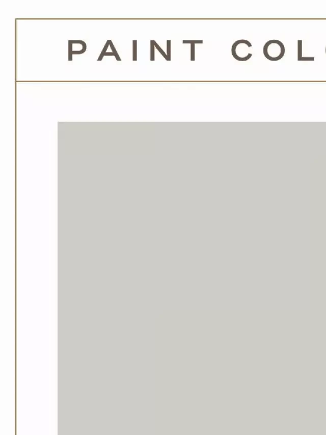   Behr Chic Gray: The Perfect Gray Paint Color for Your Home