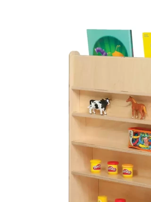   Best Montessori Bookshelf Options: Boost Learning, Minimize Clutter, and Develop a Love for Reading