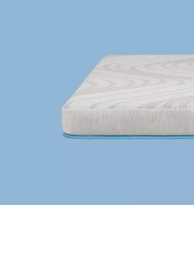   Best Trundle Bed Mattress: Top 5 Brands