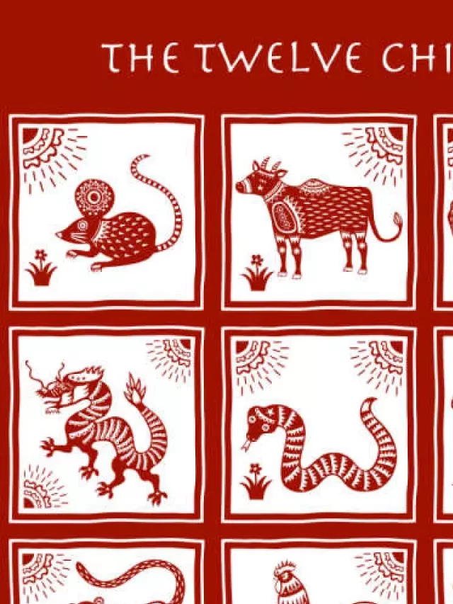   Chinese Zodiac Signs: Discover the Order, Traits, and Characteristics