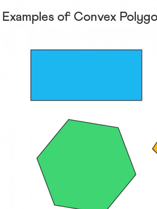   Understanding Convex Polygons