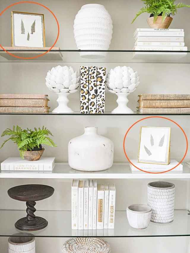   Decorating A Bookshelf: Easy Tips and Ideas