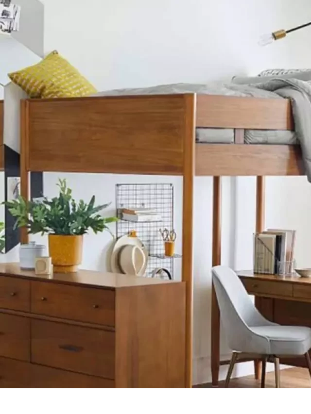   Double Loft Beds: A Growing Trend Among Adults