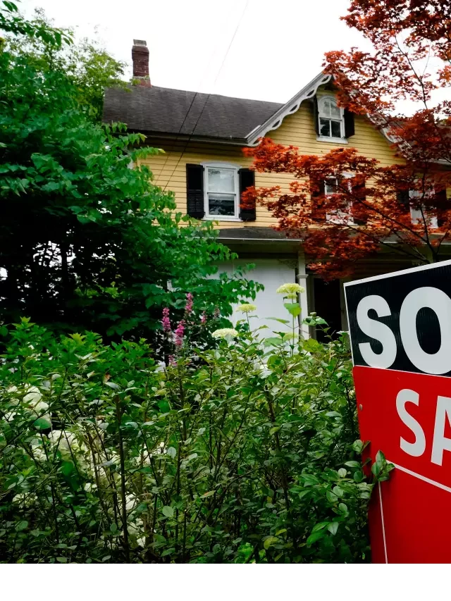   Is Your Real Estate Agent Charging Too Much to Sell Your House?