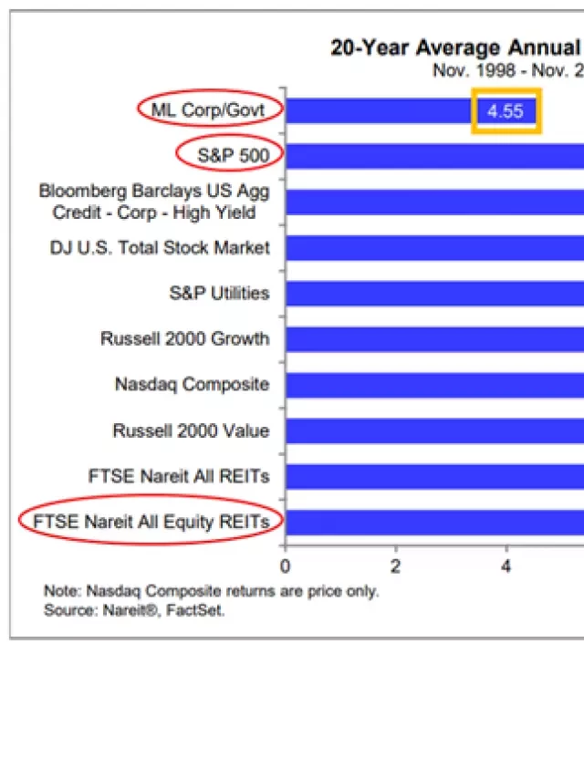   How to Build Your REIT Portfolio From Scratch