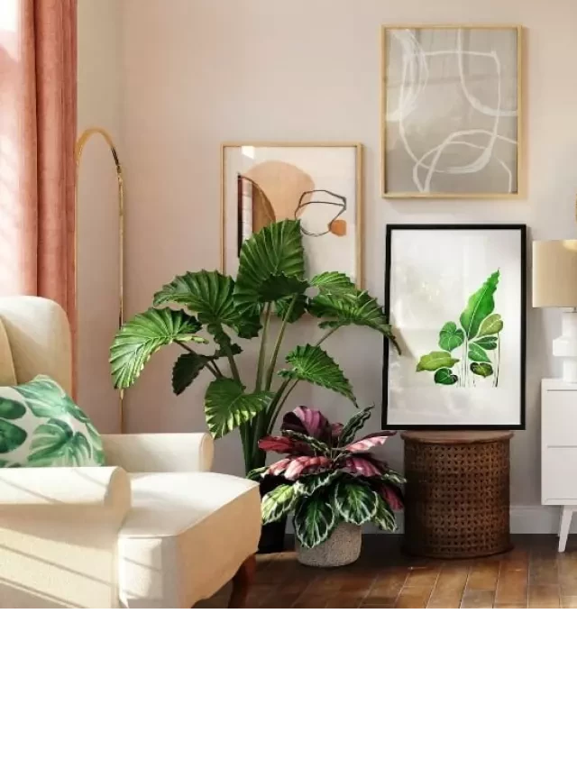   Interior Design Inspired by Nature: 6 Organic Techniques