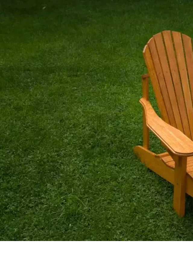   Muskoka Chair vs Adirondack Chair: Exploring the Differences