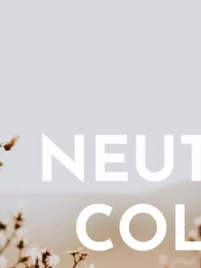   Neutral Shades: Unlocking a Designer's Ultimate Color Palette