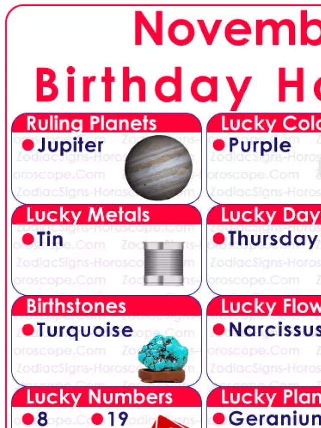   November 24 Zodiac (Sagittarius) Horoscope Birthday Personality and Lucky Things