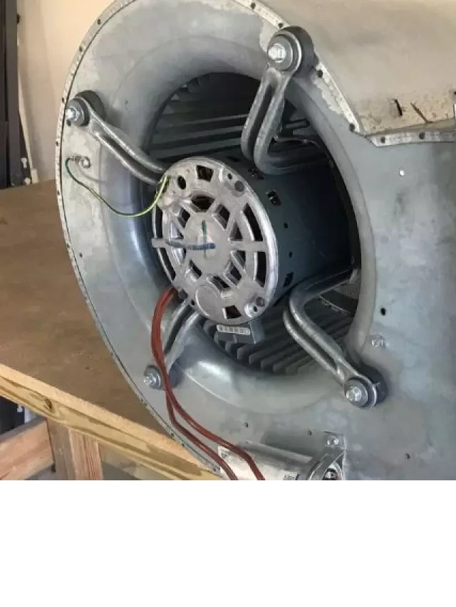   Squirrel Cage Blower Fan: Unveiling the Basics