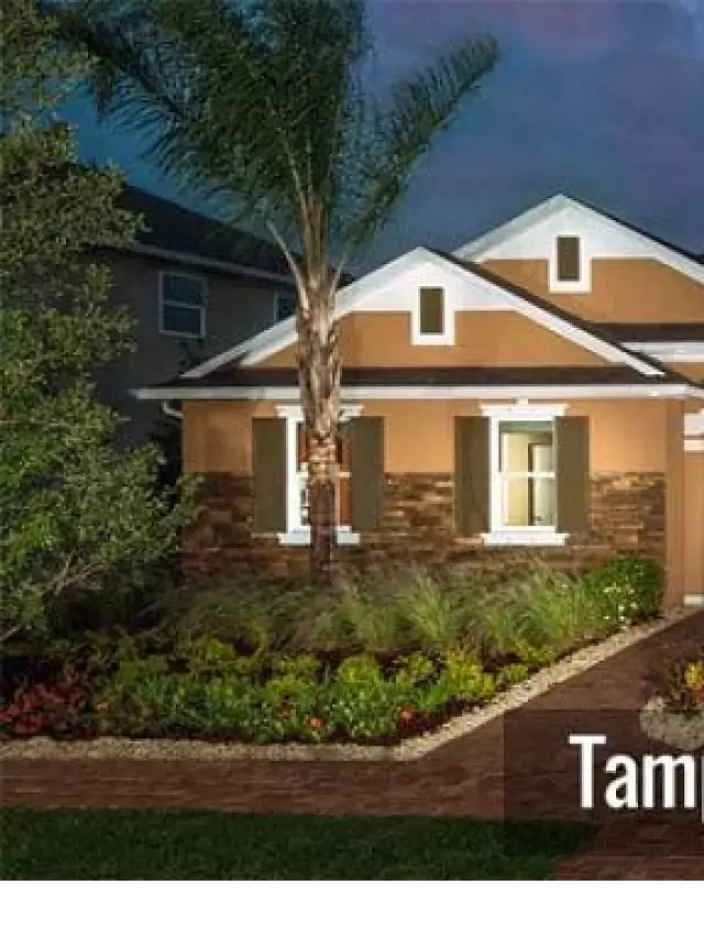   Tampa Real Estate: Your Ultimate Guide to Finding Your Dream Home