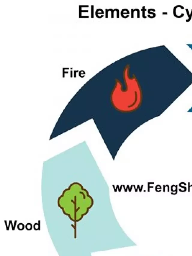   The 5 Elements: Understanding Feng Shui Energy