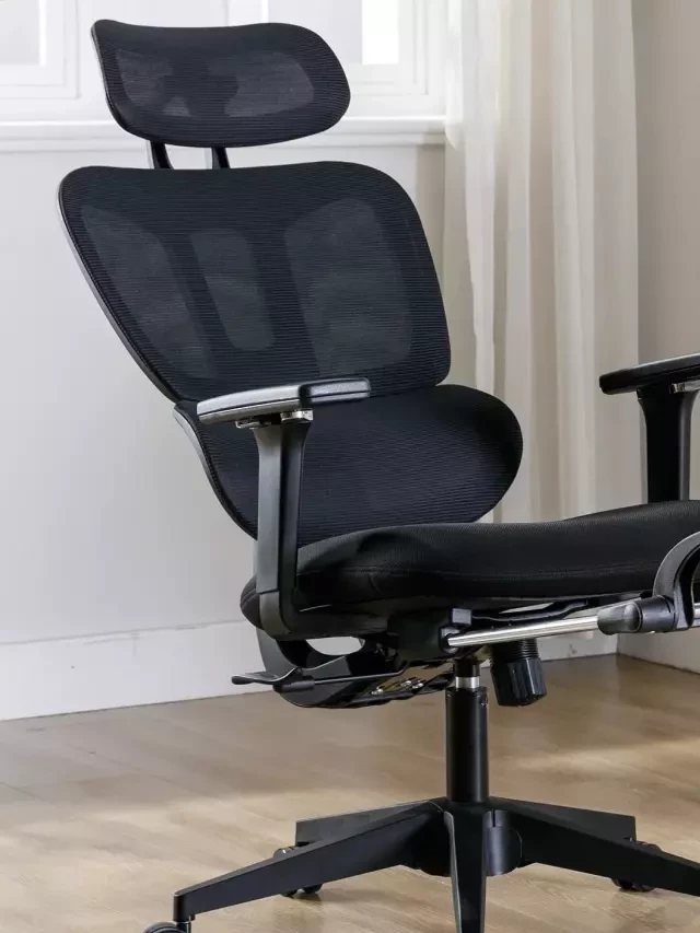   The 8 Best Ergonomic Office Chairs for Long Hours in 2024