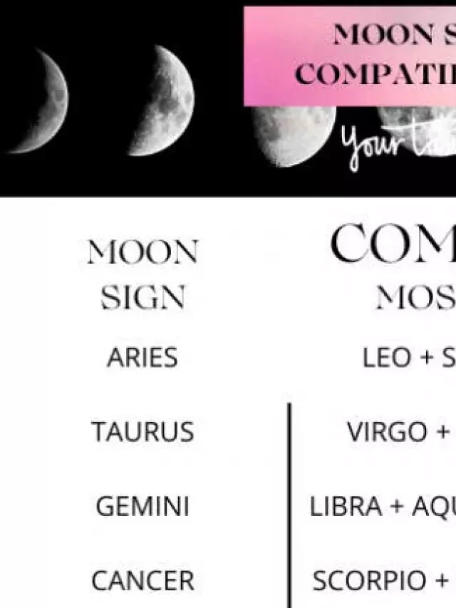   The Best (And Worst) Moon Sign Compatibility For Each Sign