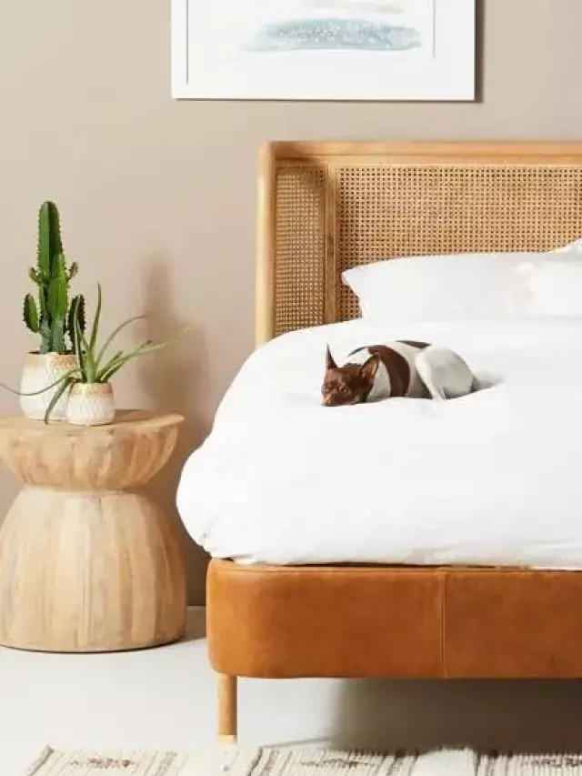   The Best Rattan Bed Frame for 2022: Enhance Your Bedroom with Bohemian Style