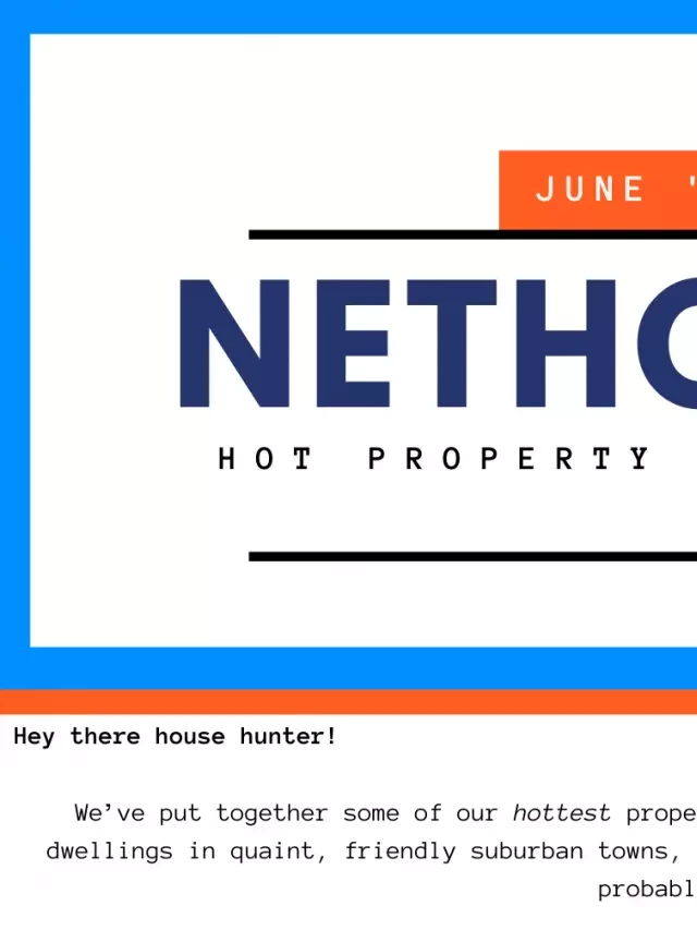   The Best Real Estate Newsletter Ideas and Examples