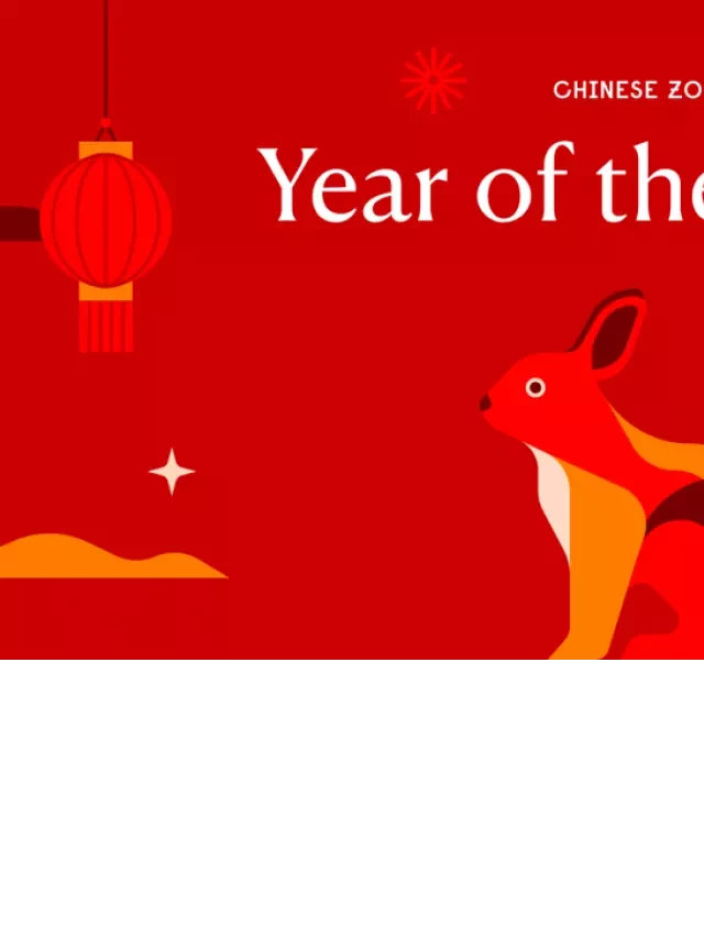   The Charming Personality Traits of People Born In The Year of The Rabbit